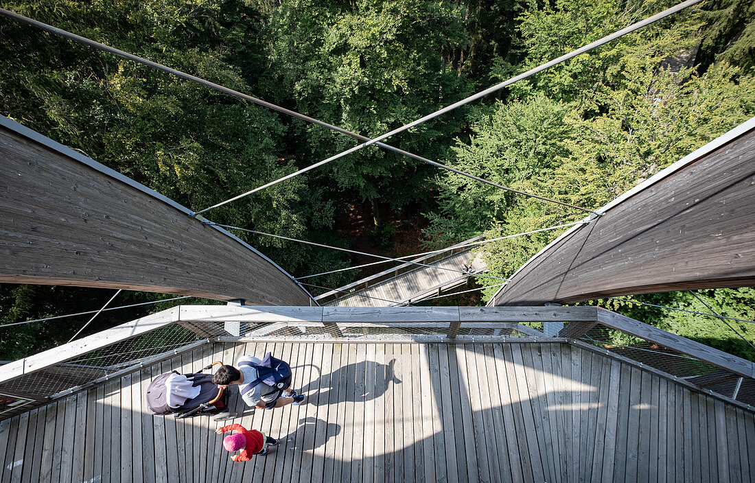 View of the footbridge with visitors at the observation tower on the treetop path, Bavarian Forest National Park, Neuschönau, Bavaria, Germany, Europe