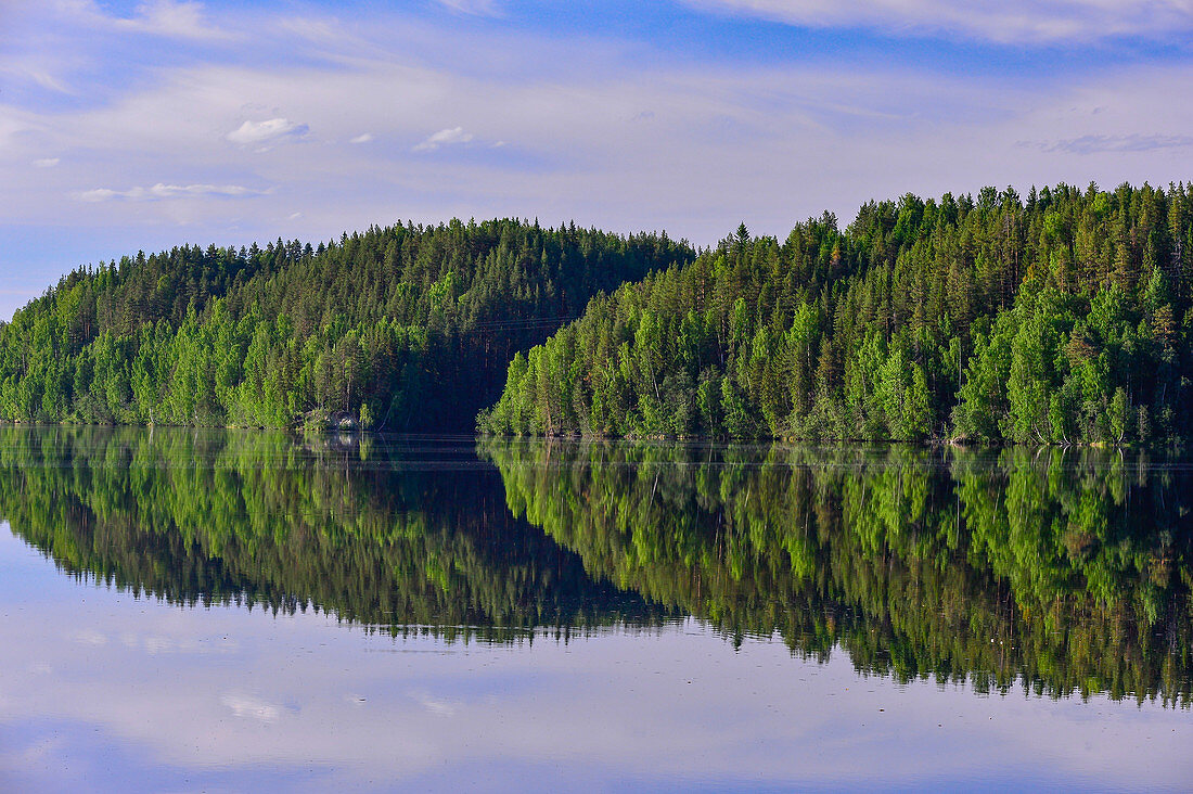 Ungewöhnliche Spiegelung des Waldes im See, Junsele, Norrbottens Län, Schweden