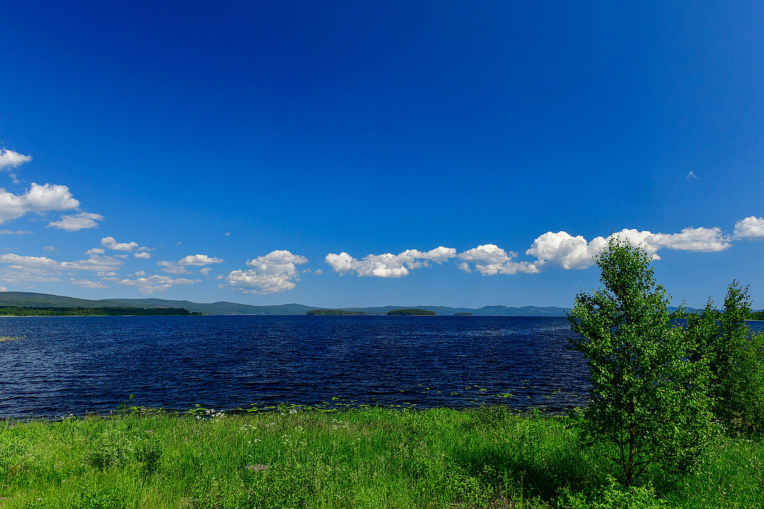 Summer mood at a lonely lake, Orsjön, near Karsjö, Västernorrland, Sweden