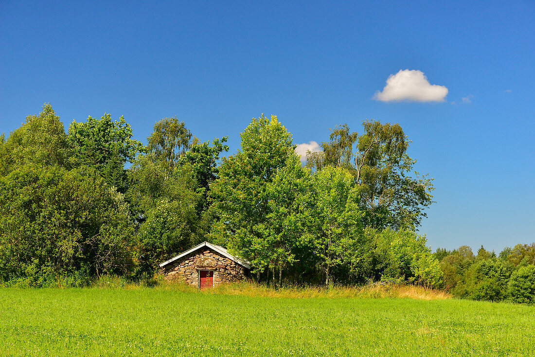 Tarditioneller Erdkeller am Rande eines Waldes, bei Smålandsstenar, Jönköpings Län, Schweden