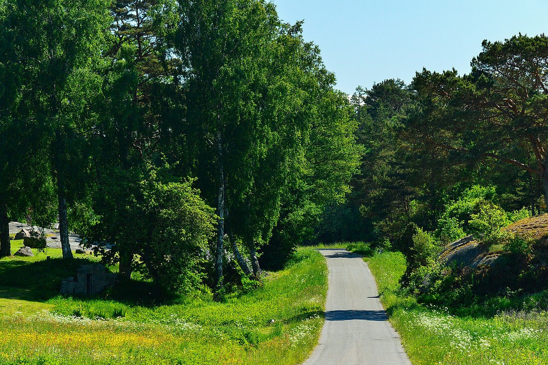 Einsame Strasse im Wald bei Brodalen, Västragötaland, Schweden