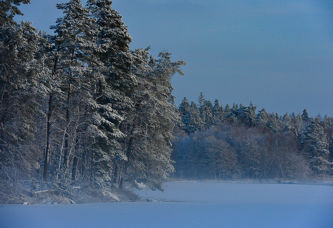 Nice winter mood with snow-covered forest and lake, near Långaryd, Halland, Sweden