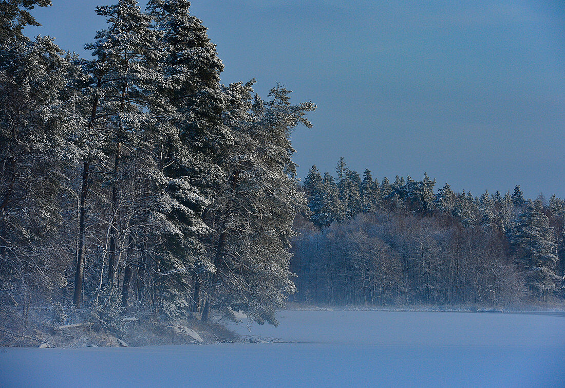 Schöne Winterstimmung mit verschneitem Wald und See, bei Långaryd, Halland, Schweden