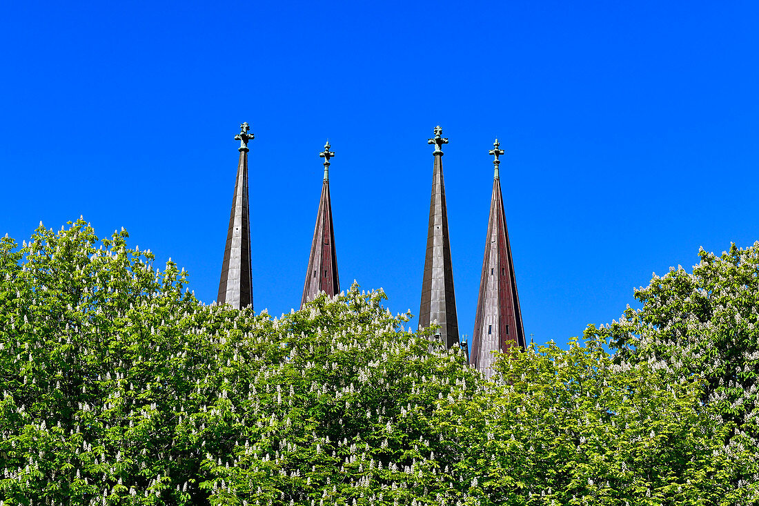 View of blooming chestnut trees and the spiers of the old cathedral in Skara, Västergötland, Sweden