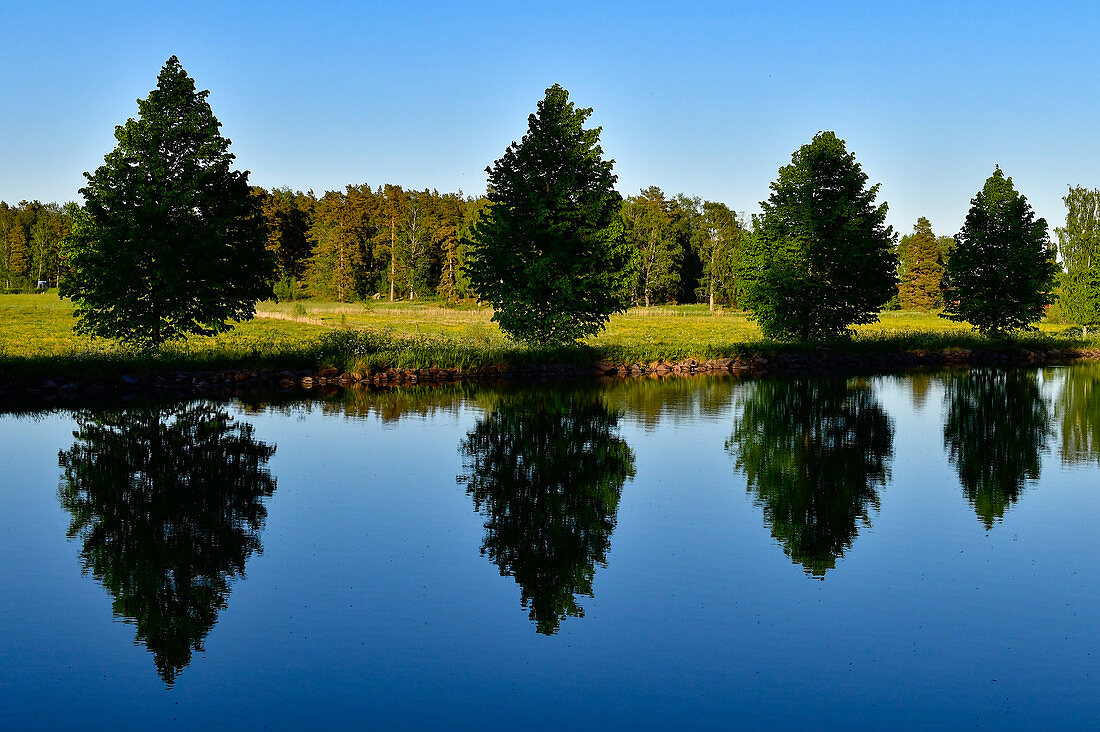 A row of small trees is reflected in the water of the Göta Canal, Hajstorp, Västergötland, Sweden