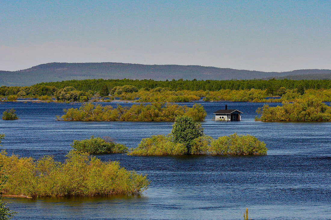 Lonely hut and trees stand in the flooded Torneälv, Sweden-Finland border, Norrbottens Län, Sweden