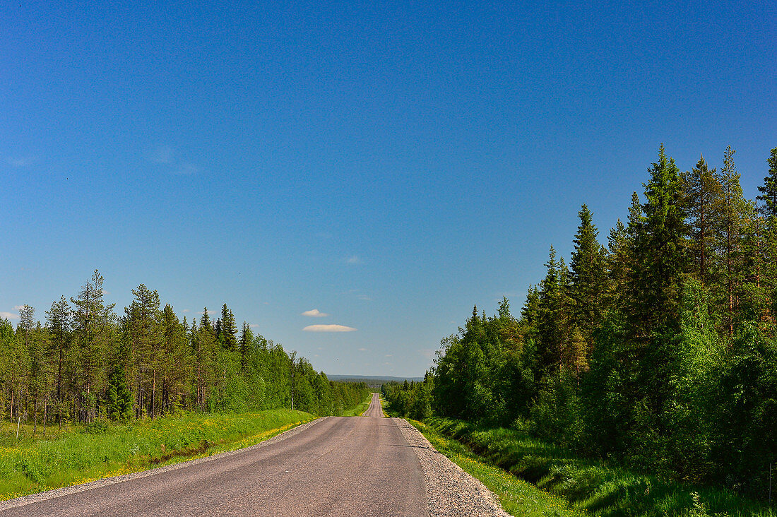 Endlose Strasse durch die Weite Lapplands, bei Narken, Norrbottens Län, Schweden