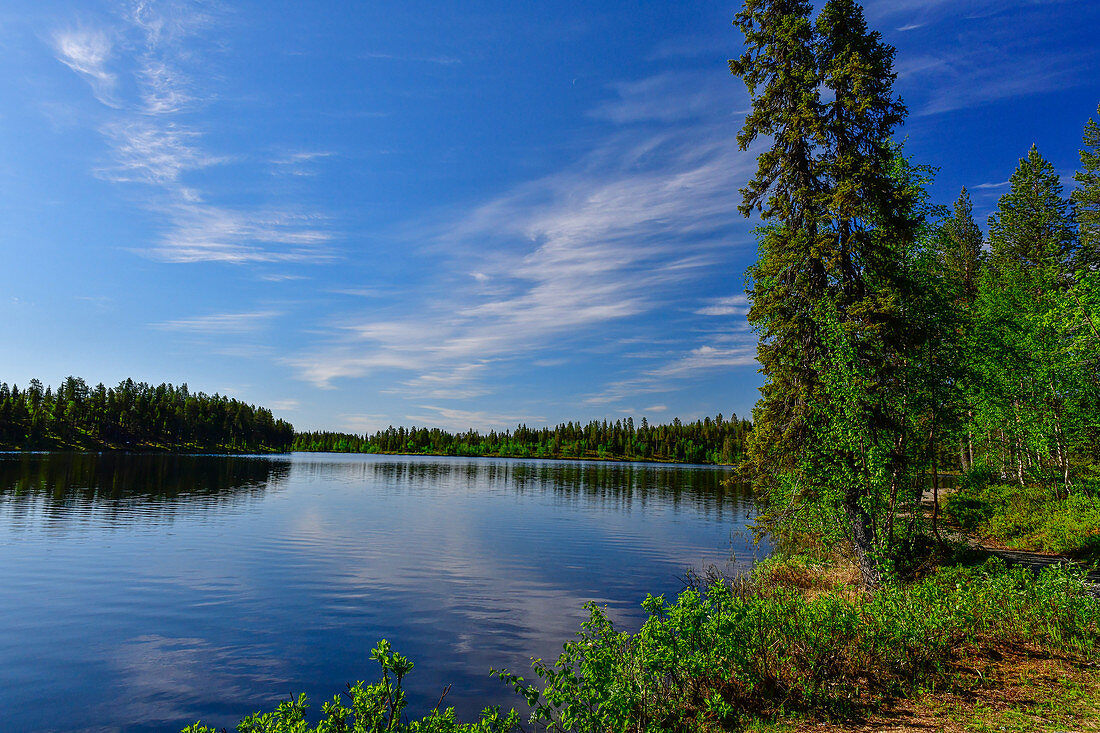 Ein Waldweg führt um einen einsamen See, Skaulo, Norrbottens Län, Schweden