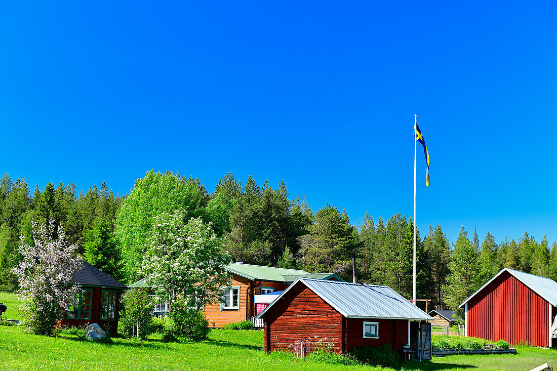 Typische Hofanlage in Lappland vor blauem Himmel, bei Salmi, Norrbottens Län, Schweden