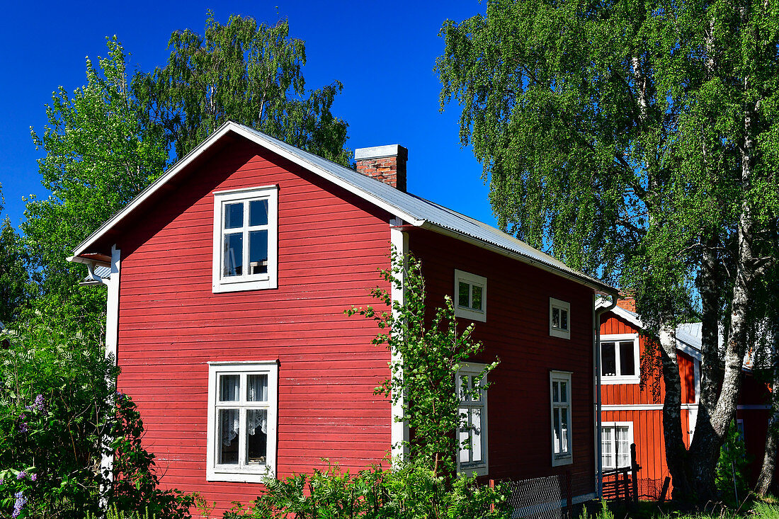 Red Swedish house with birch trees, Seskarö Harbor, Norrbottens Län, Sweden