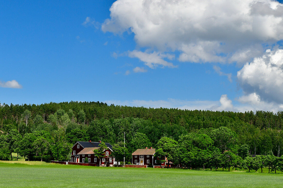 Großer Hof mit roten Häusern am Wald, bei Leksand, Provinz Dalarna, Schweden