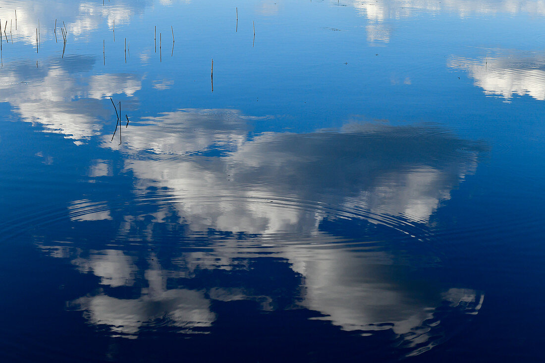 Spiegelung von blauem Himmel und Wolken im See, Timansberg, Provinz Örebro, Schweden