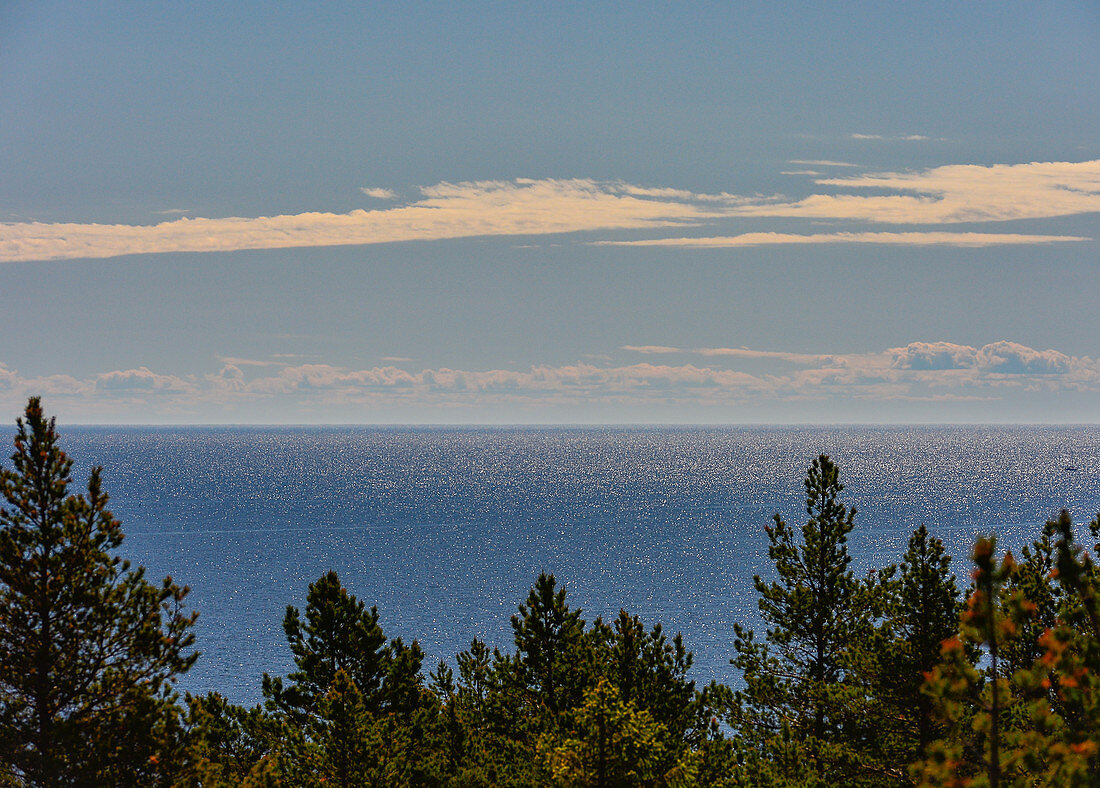 Blick über die Baumwipfel auf die glitzernde Ostsee, Bjuröklubb, Västerbottens Län, Schweden