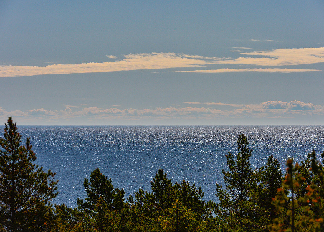 View over the treetops to the glittering Baltic Sea, Bjuröklubb, Västerbottens Län, Sweden