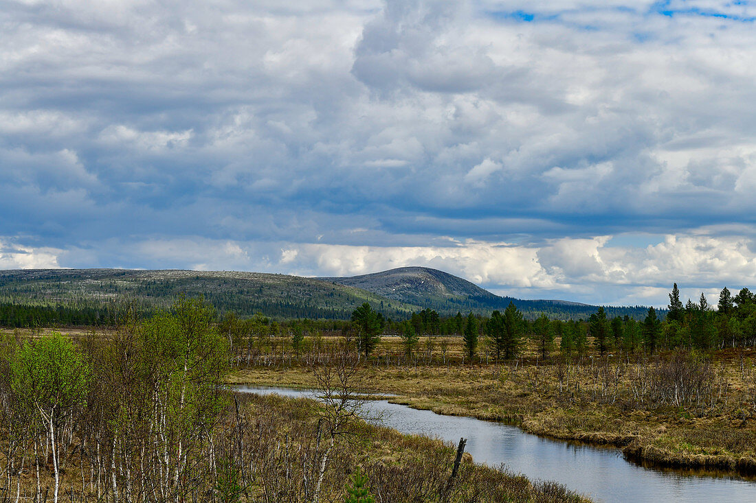 Landscape with a small stream in barren nature, Ytterturingen, Härjedalen, Sweden