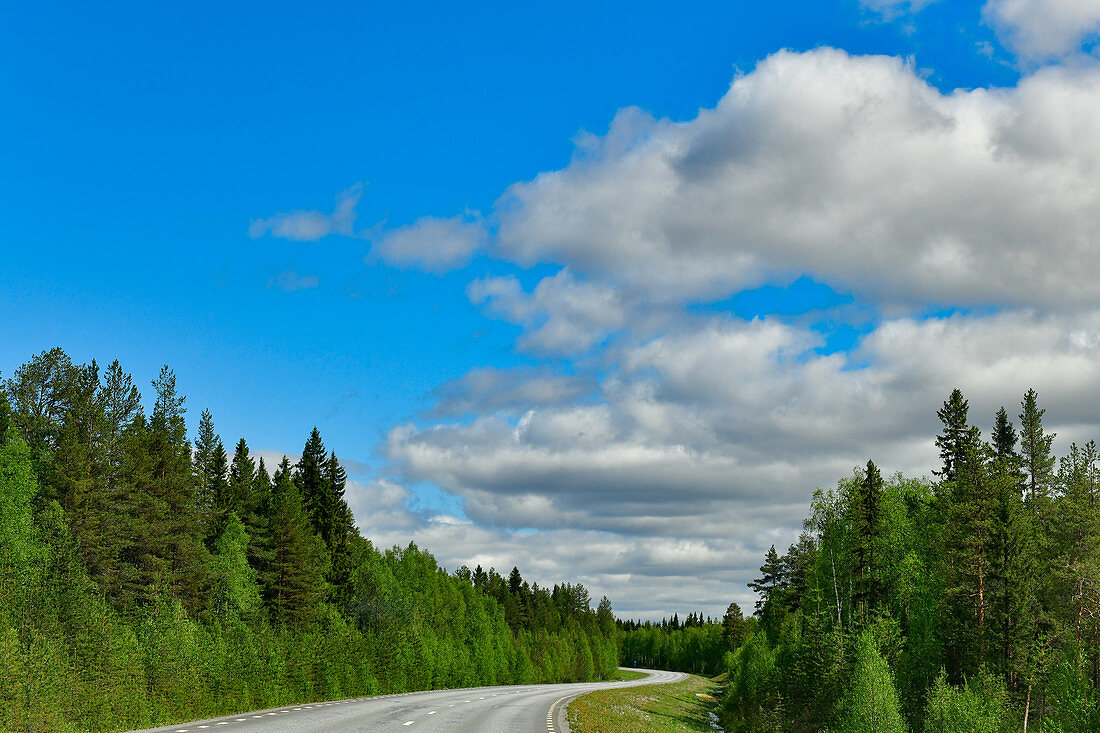 Die einsame Landstrasse führt in Kurven durch Lappland, Provinz Västernorrland, Schweden