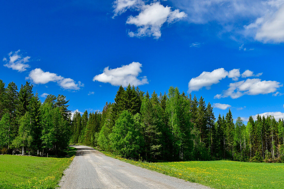 Einsame Strasse in traumhafter Landschaft in Lappland, bei Korrsjön, Västerbottens Län, Schweden