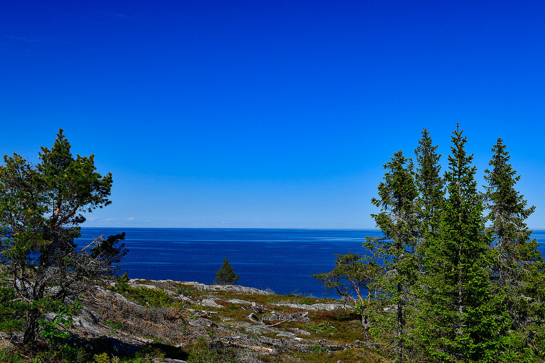 Blick über den felsigen Hügel auf die weite Ostsee bei Bjuröklubb, Västerbottens Län, Schweden