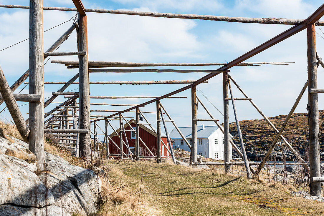 Dried fish racks on the island of Nordöyan, fishing village, Folda, Namdalen, Trondelag, Norway