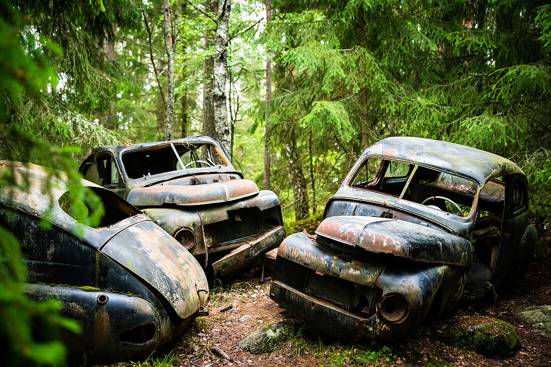 Car junkyard in the Swedish forest, Bastnäs, Töckfors Sweden