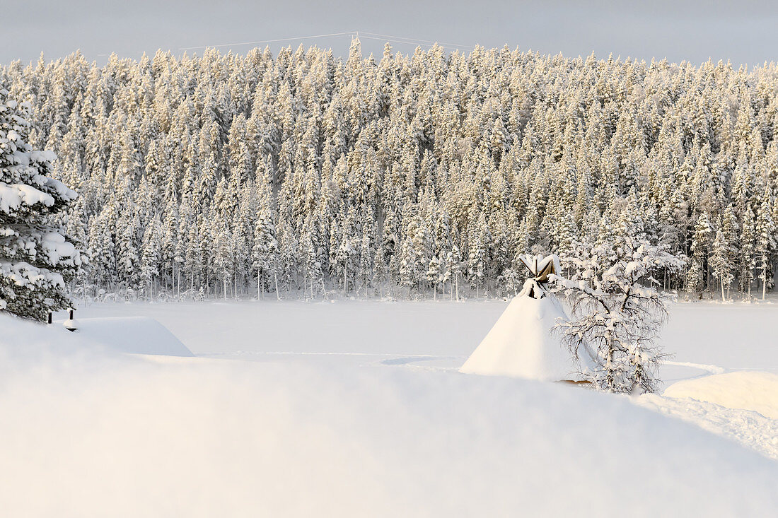 Lavuu, ein Zelt der Samen am Polarkreis, Winterlandschaft, Schweden