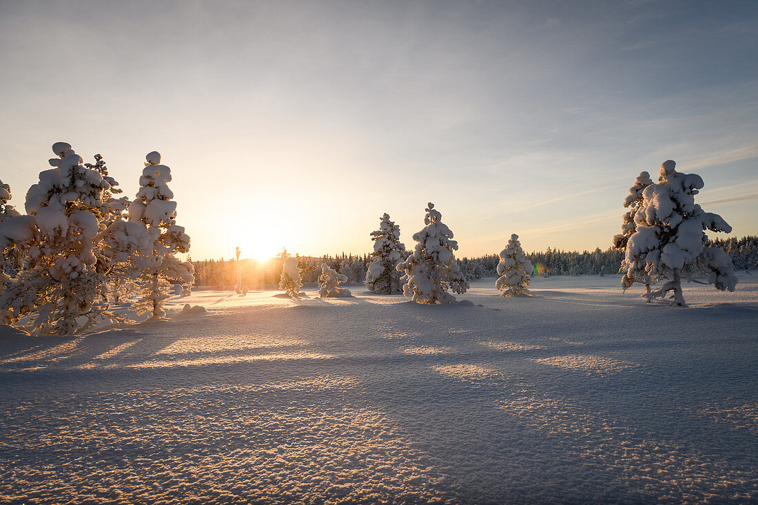 Winter landscape in Lapland, Arvidsjaur, Auktsjaur, Sweden