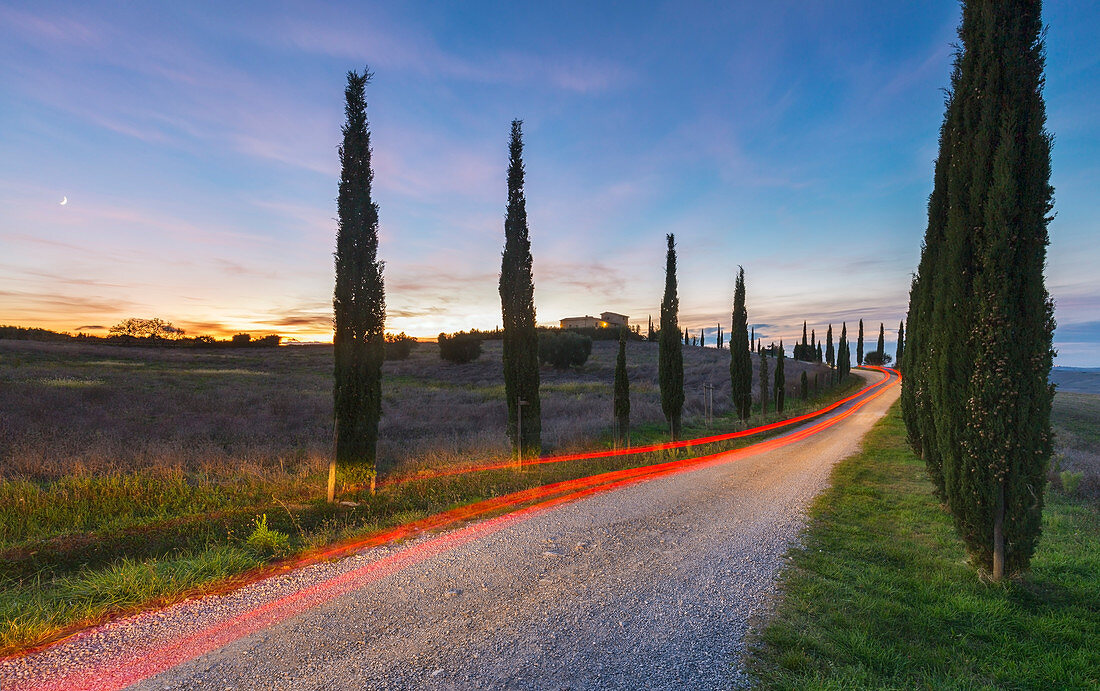 Auffahrt zu einem Bauernhaus in San Quirico D'orcia, Val D'Orcia, Siena, Toskana, Italien, Südeuropa