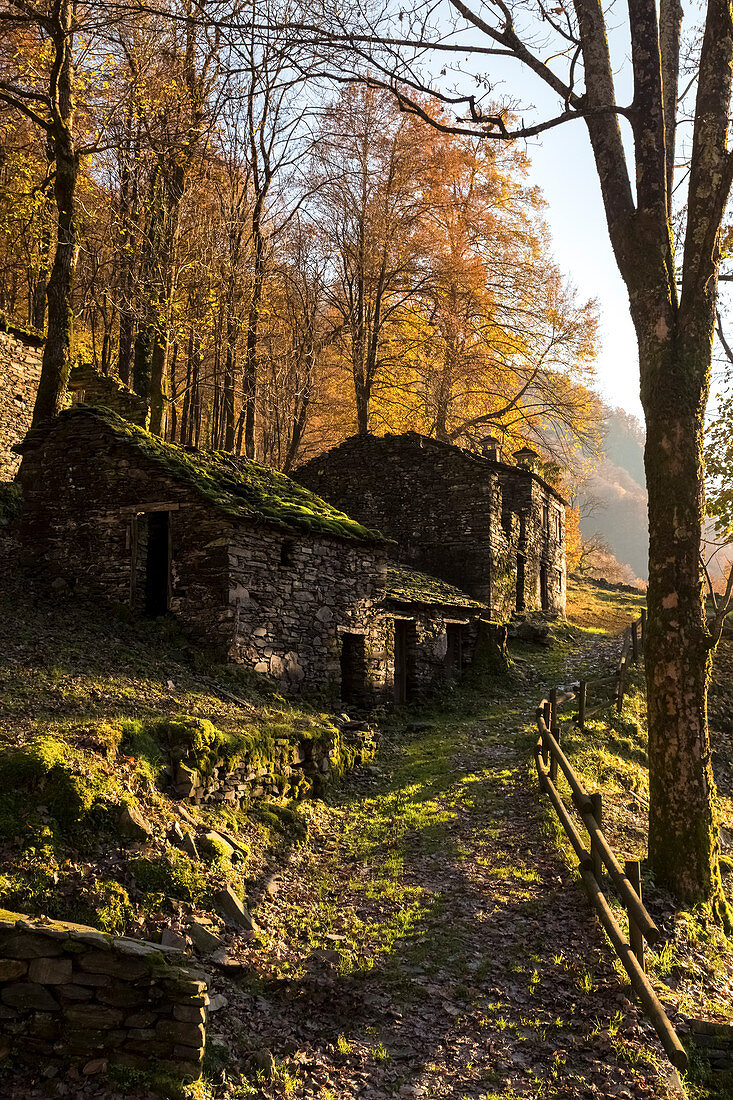 Herbst bei Mulini di Piero, Curiglia con Monteviasco, Val Veddasca, Provinz Varese, Lombardei, Italien