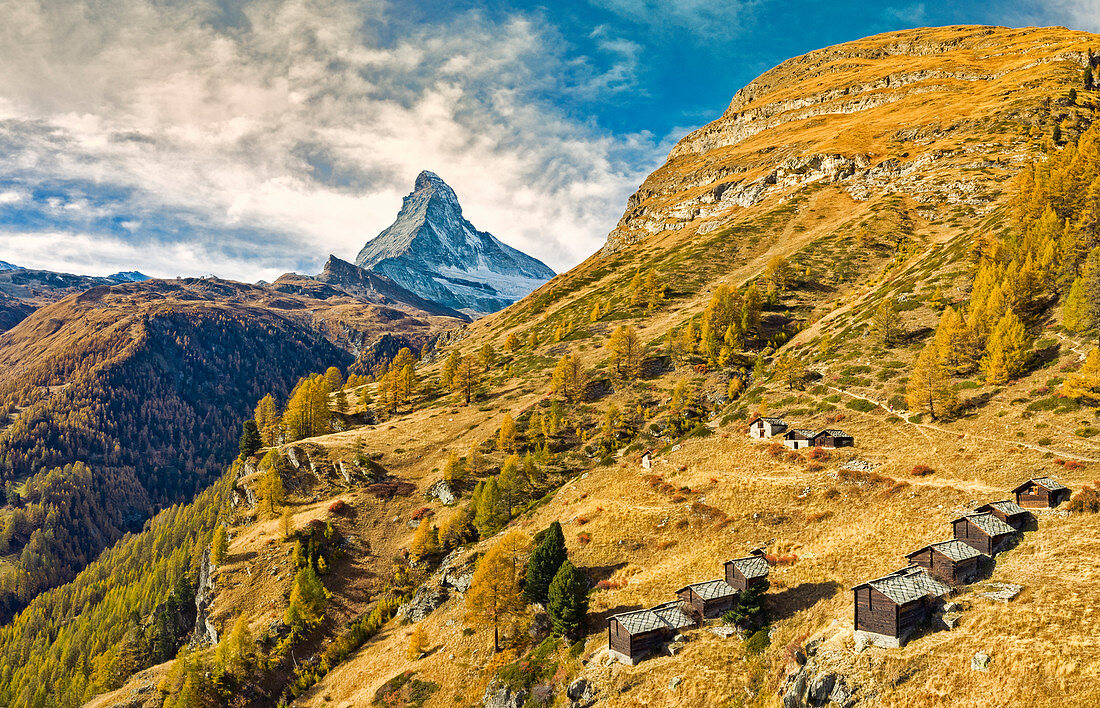 Colourful trees in autumn with Matterhorn in the background. Zermatt, Mattertal, Canton of Valais, Switzerland, Europe