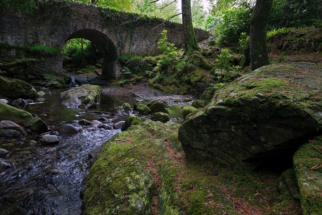 United Kingdom, Northern Ireland, County Down, Bryansford, the verdant and vibrant Tollymore Forest Park is where Theon is stalked by Ramsay Snow, and has been used to depict the snow-covered lands between Winterfell and the Wall