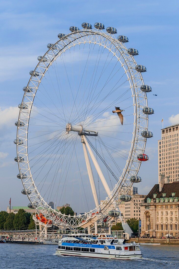 United Kingdom, London, Westminster, London Eye big wheel on Thames