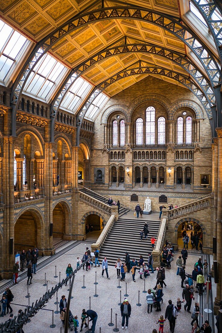 England, London, South Kensington, Natural History Museum (Naturhistorisches Museum), Interieur