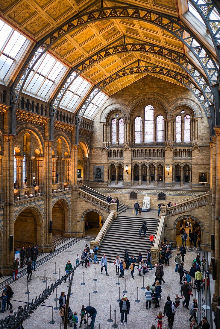 England, London, South Kensington, Natural History Museum, interior