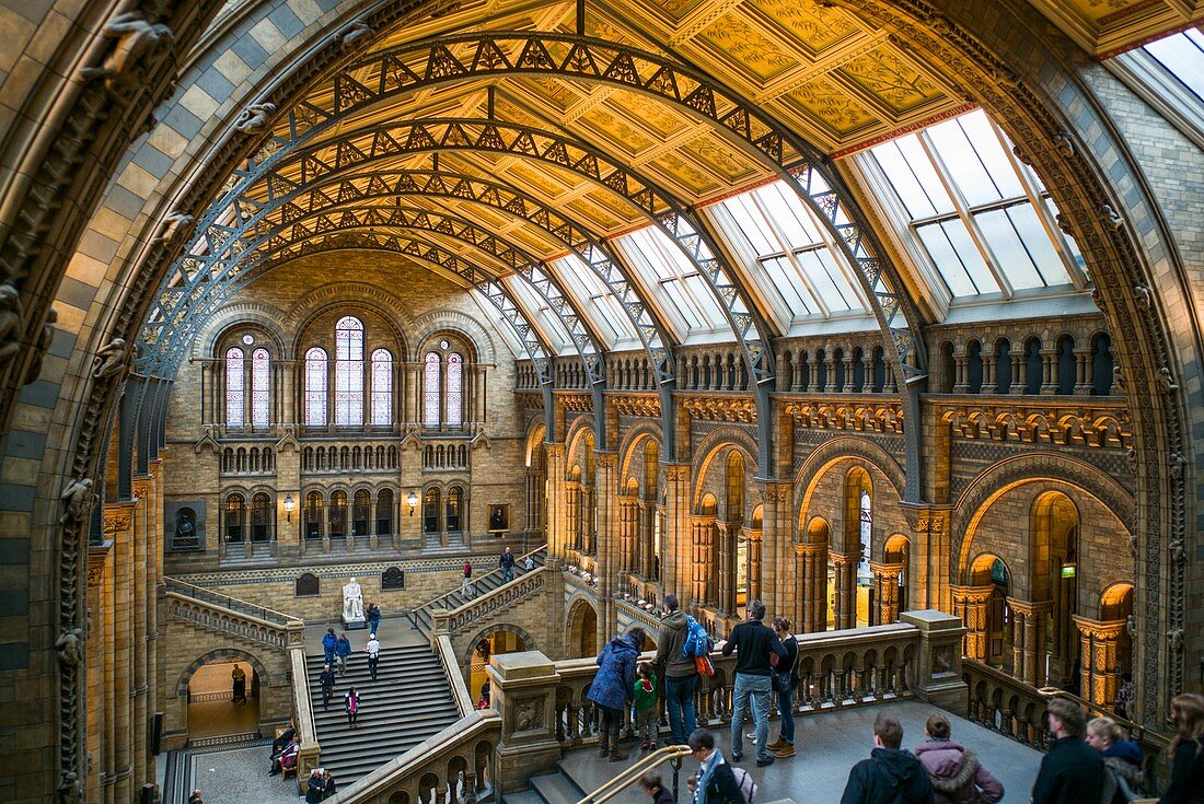 England, London, South Kensington, Natural History Museum (Naturhistorisches Museum), Interieur