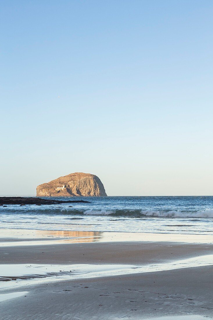 Vereinigtes Königreich, Schottland, East Lothian, North Berwick, Bass Rock Island, die weltweit größte Kolonie nördlicher Tölpel vom Seacliff Beach