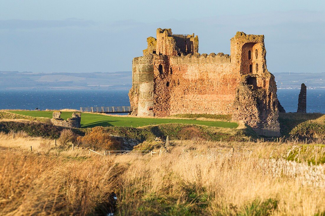 United Kingdom, Scotland, East Lothian, North Berwick, the Tantallon Castle built in the 14e century