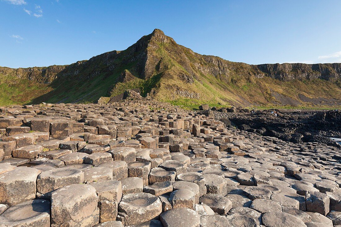 United Kingdom, Northern Ireland, County Antrim, Bushmills, Giants Causeway, Unesco World Heritage Site, coastal rock formation of basalt, dusk