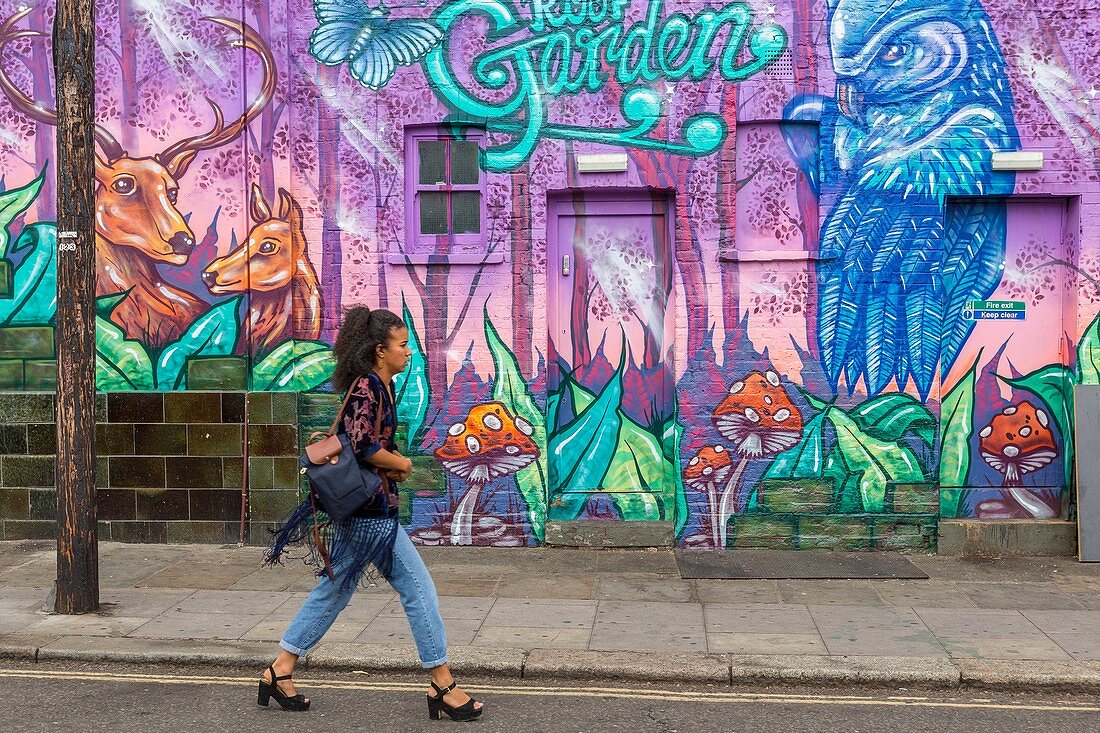 United Kingdom, London, East End, Spitalfields district, hipster quarter, grafittis