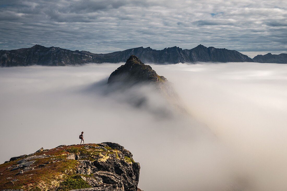 HIKER AT THE SUMMIT OF MOUNT HESTEN CONTEMPLATING THE PEAKS EMERGING FROM A SEA OF CLOUDS, FJORDGARD, SENJA, NORWAY