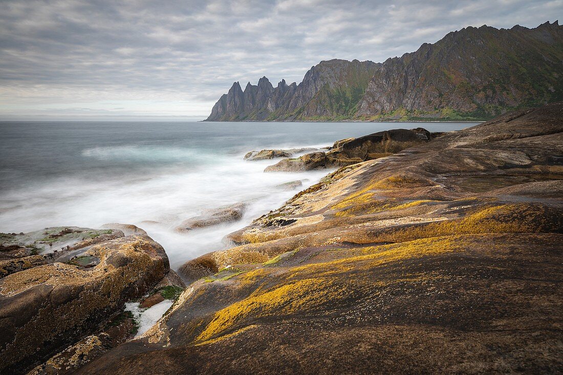 Vom Seetang Gefärbte Felsen am Strand von Tungeneset, Senja, Norwegen