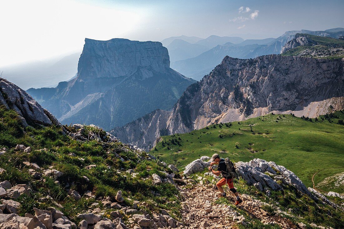 HIKER ON THE GRAND VEYMONT TRAIL, MONT AIGUILLE IN THE BACKGROUND, GRESSE-EN-VERCORS, ISERE (38), AUVERGNE-RHONE-ALPES, FRANCE