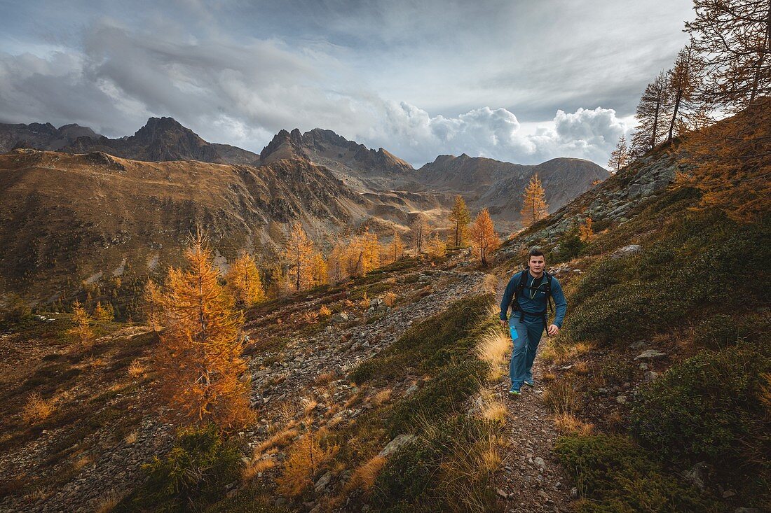 Wanderer auf einem Weg, der zum Gipfel des Valette De Prals Führt, Lärchen in Herbstlichen Farben, Mercantour-Nationalpark, Saint-Martin-Vesubie, Provence-Alpes-Côte-D'azur, Alpes-Maritimes, Frankreich