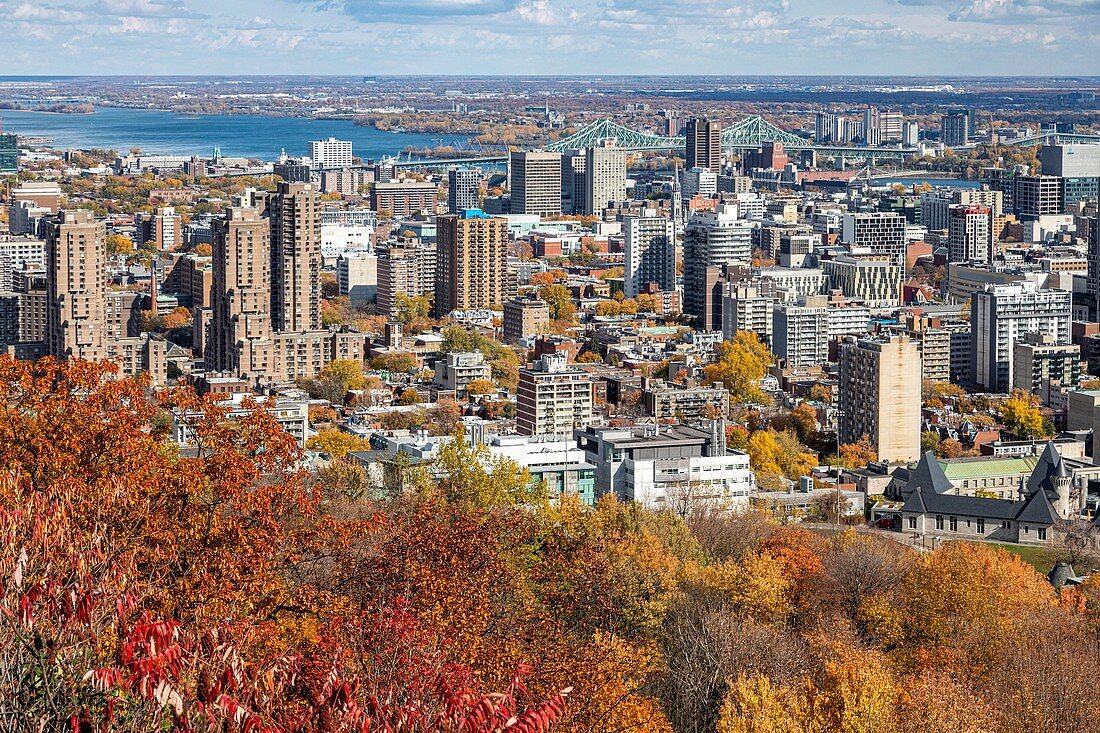 AUTUMN COLORS IN MONT-ROYAL PARK AND VIEW OF THE BUSINESS DISTRICT OF THE CITY OF MONTREAL, THE SAINT LAWRENCE RIVER AND JACQUES CARTIER BRIDGE, QUEBEC, CANADA