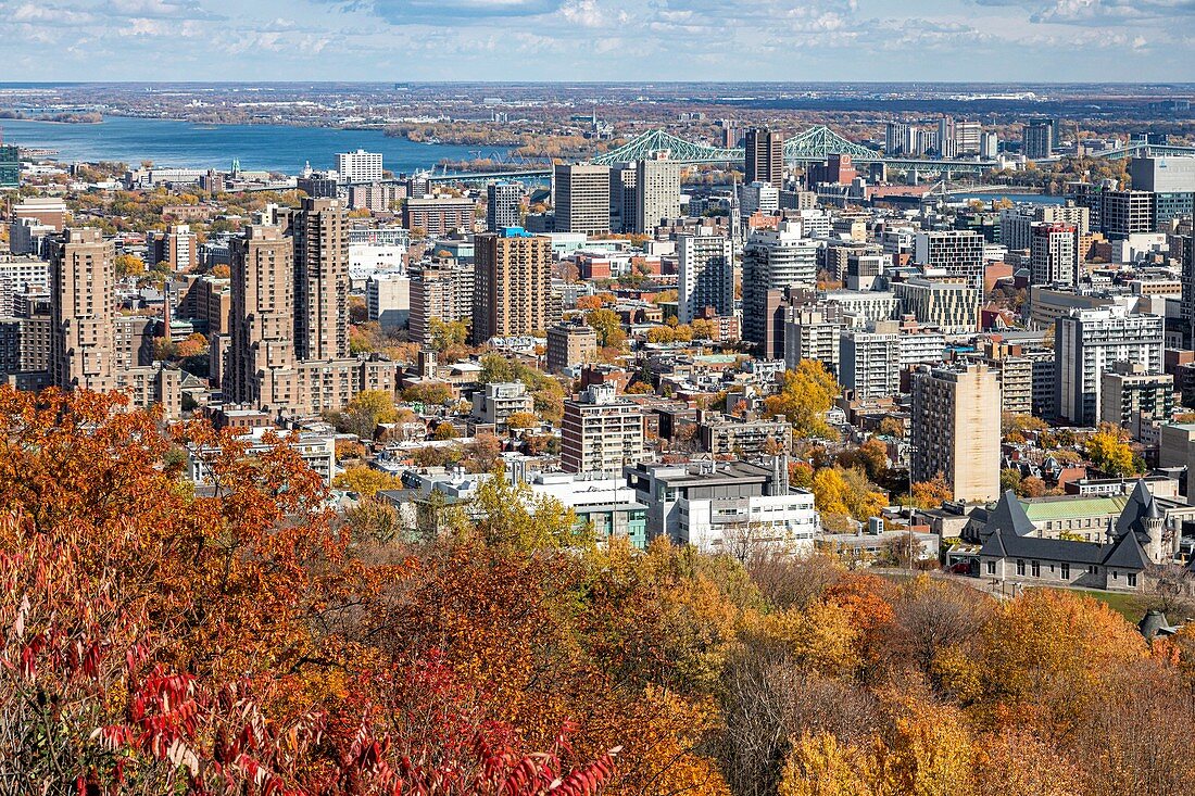 Herbstfarben im Mont-Royal Park und Blick auf Das Geschäftsviertel der Stadt Montreal, den Fluss Saint Lawrence und die Jacques Cartier Brücke, Quebec, Kanada