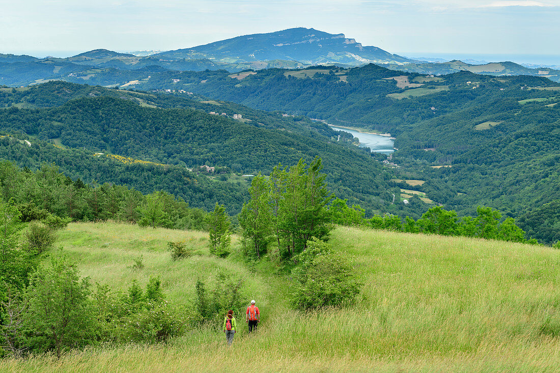 Man and woman hiking through meadow, Grande Anello dei Sibillini, Sibillini Mountains, Monti Sibillini, Monti Sibillini National Park, Parco nazionale dei Monti Sibillini, Apennines, Marche, Umbria, Italy