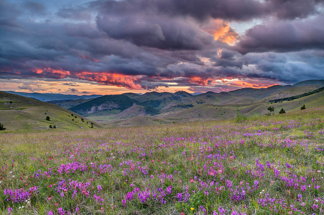 Wolkenstimmung über Blumenwiesen, Nationalpark Gran Sasso, Parco nazionale Gran Sasso, Apennin, Abruzzen, Italien