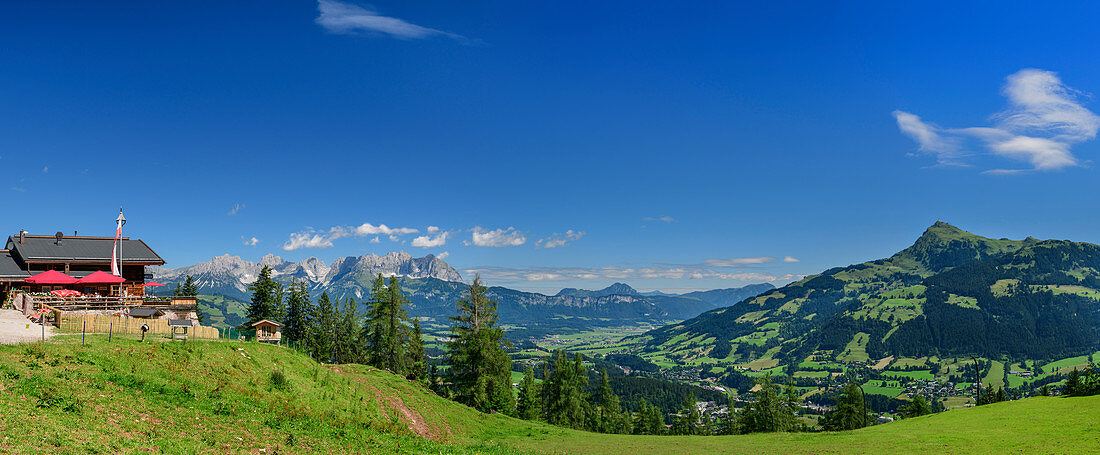 Panorama mit Seidlalm, Kaisergebirge und Kitzbüheler Horn im Hintergrund, Kitzbüheler Alpen, Tirol, Österreich