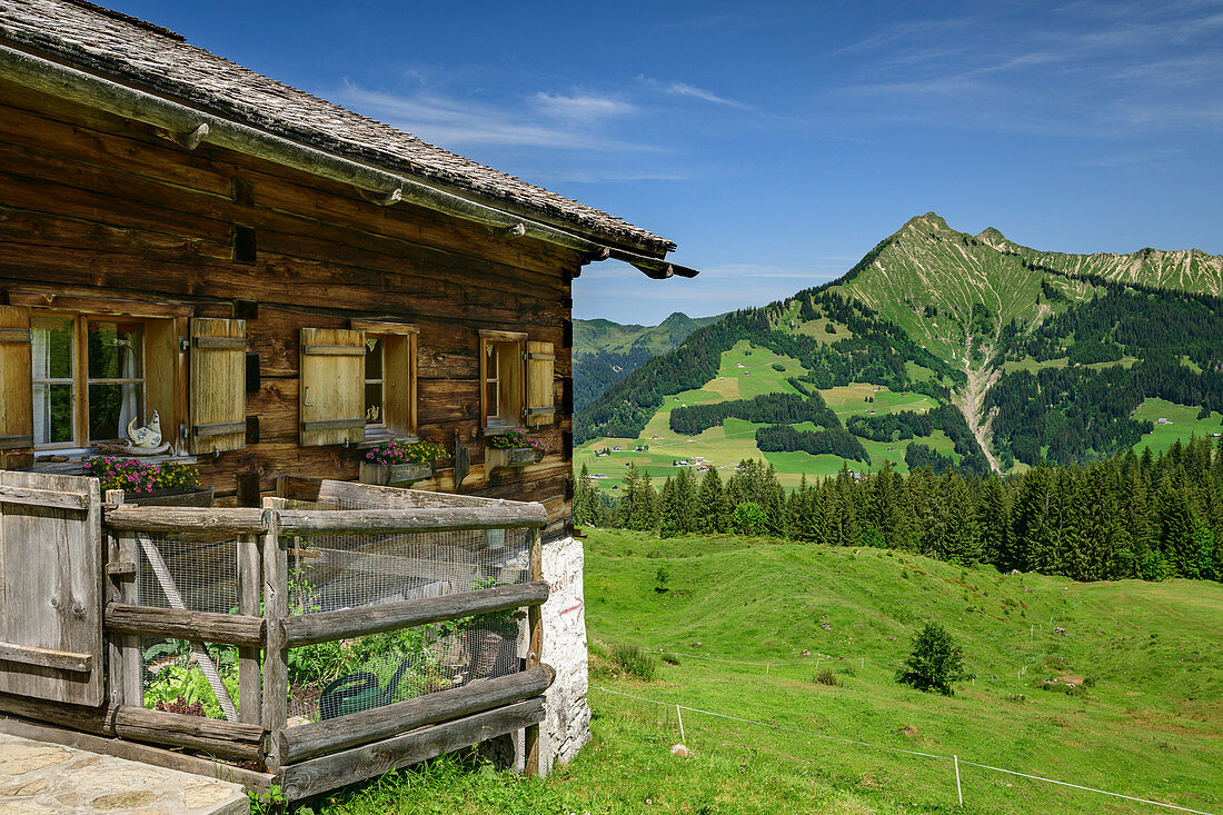 Almgebäude der Alpe Steris, Biosphärenreservat Großes Walsertal, Lechquellengebirge, Vorarlberg, Österreich