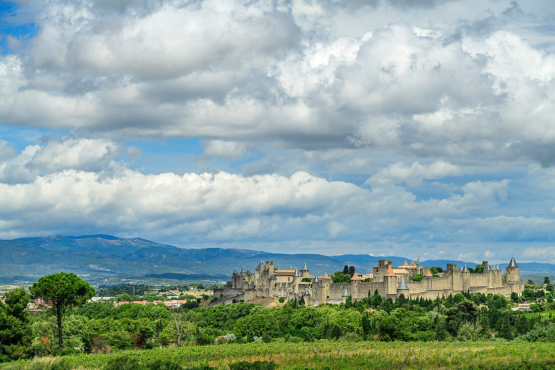 Befestigte Stadt Carcassonne, UNESCO Weltkulturerbe Carcassonne, Aude, Okzitanien, Frankreich