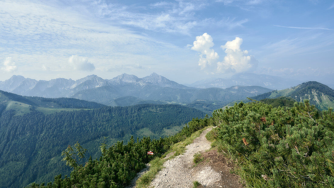 View from Wasserklotz (Reichraminger Hintergebirge) towards the Haller Mauern / Nördliche Kalkalpen, border region between Upper Austria and Styria, Austria.